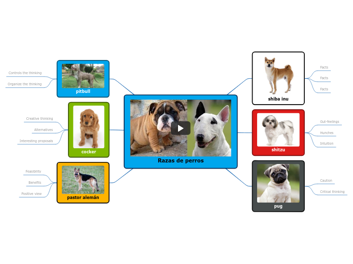 Razas de perros Mind Map Razas de perros Mind Map